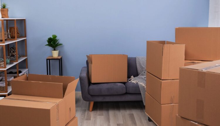 WhatsApp Image 2023-05-23 at 10.55.56 PM (1)